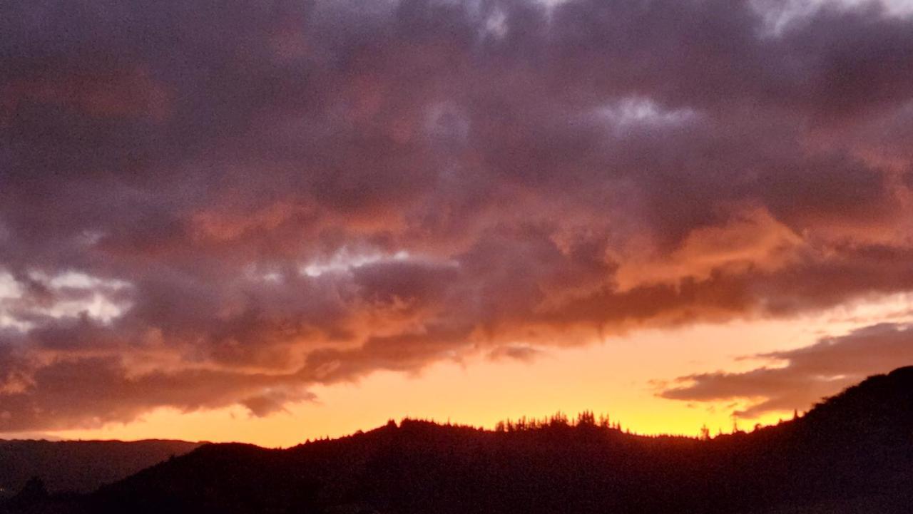 Boutique Art Retreat Hotel Upper Hutt Luaran gambar
