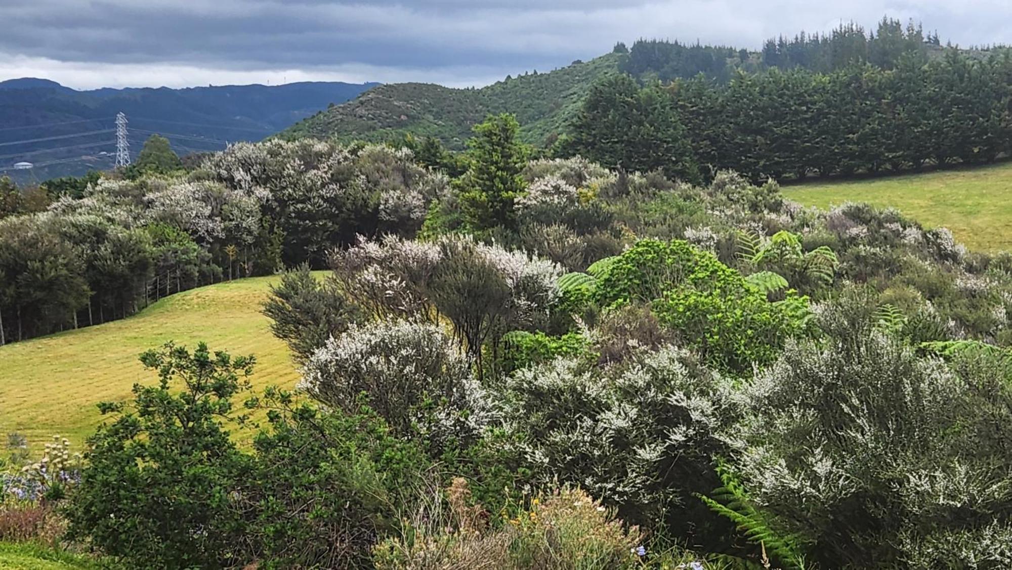 Boutique Art Retreat Hotel Upper Hutt Luaran gambar