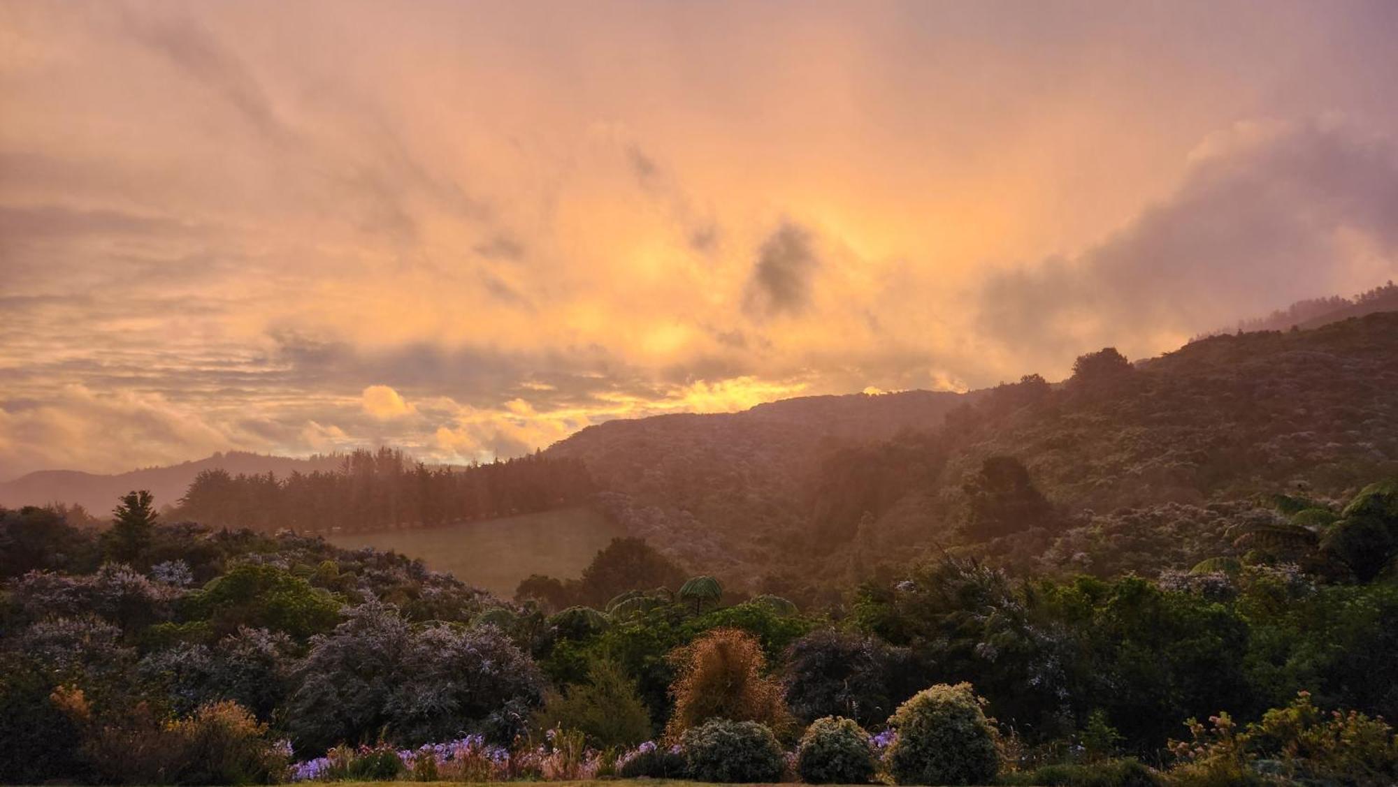 Boutique Art Retreat Hotel Upper Hutt Luaran gambar
